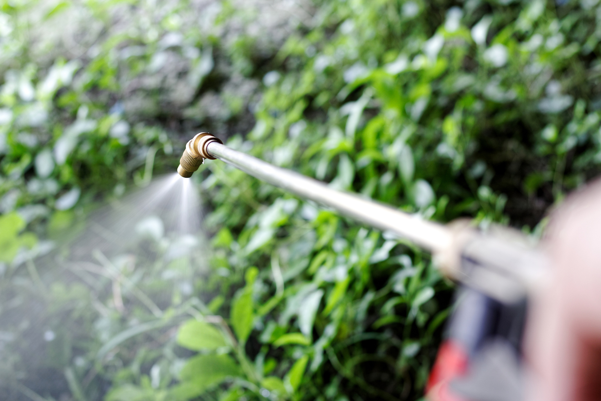 Featured image for “<strong>Roundup Class-Action Lawsuits</strong>”